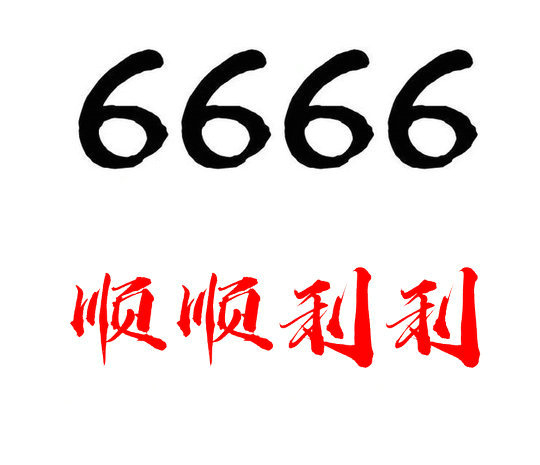 定陶尾號6666吉祥號