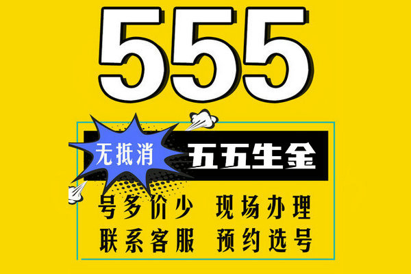 槐蔭555手機(jī)靚號